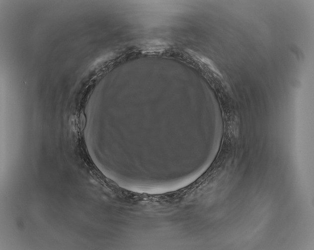 X0000112021445200908311145