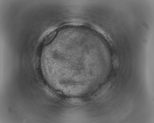 X0000112021448200908311145