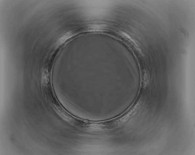 X0000112021449200908311145