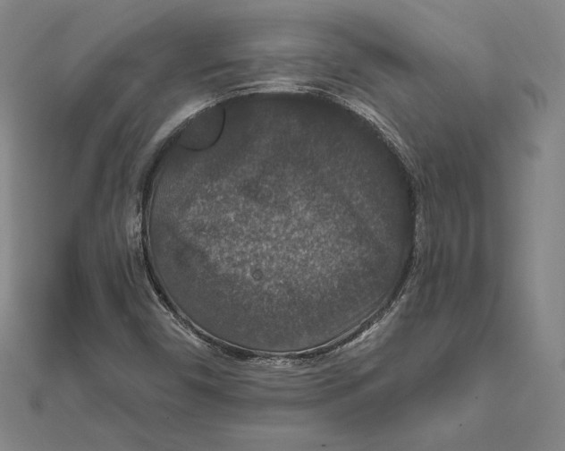 X0000112021450200908311145