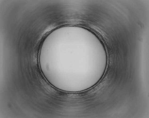 X0000112021451200908311145