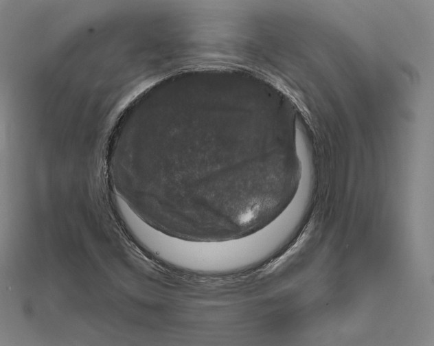 X0000112021453200908311145