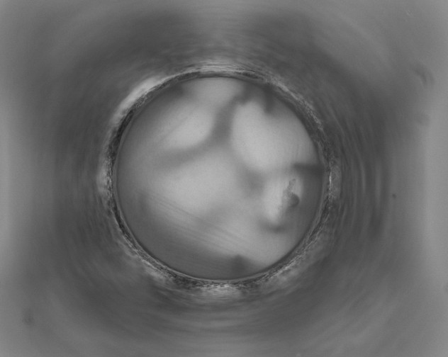 X0000112021454200908311145