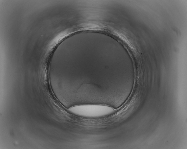 X0000112021455200908311145