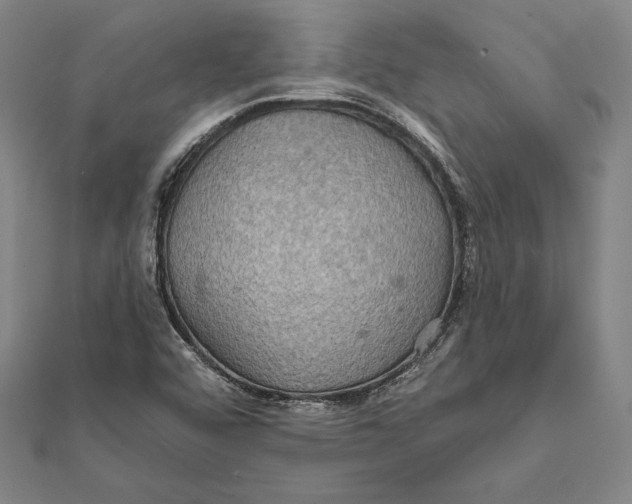 X0000112021456200908311145