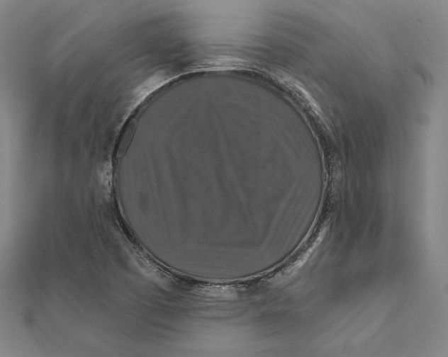 X0000112021457200908311145