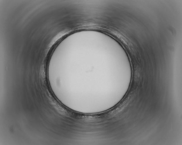 X0000112021458200908311145