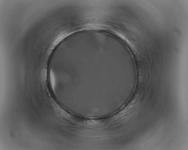 X0000112021459200908311145