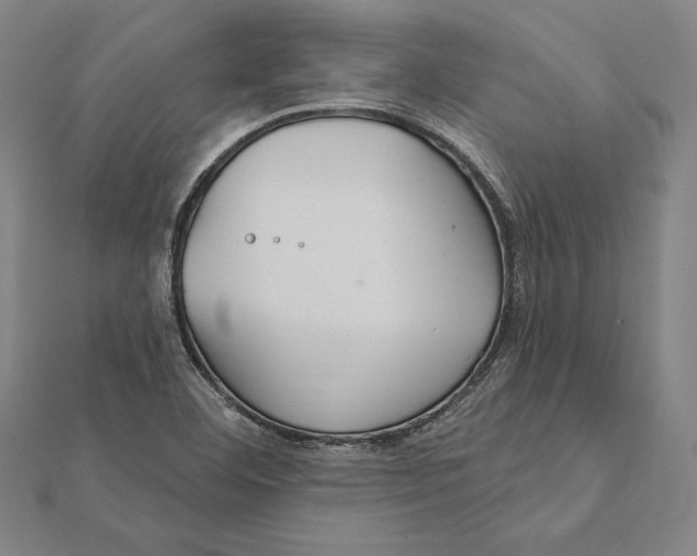 X0000112021460200908311145