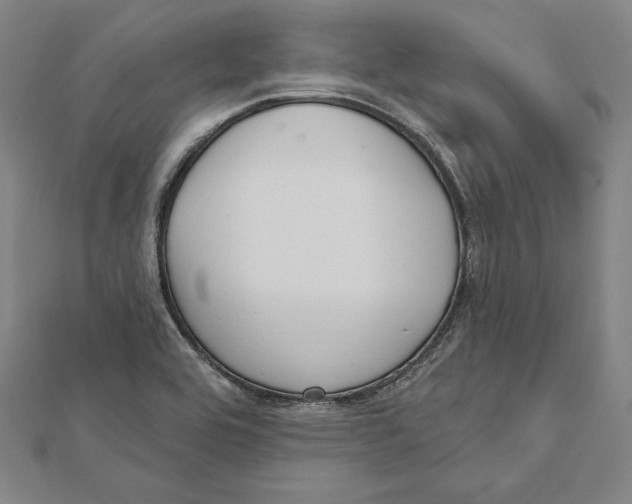 X0000112021464200908311145