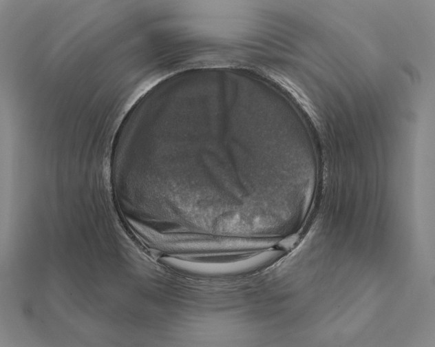 X0000112021465200908311145