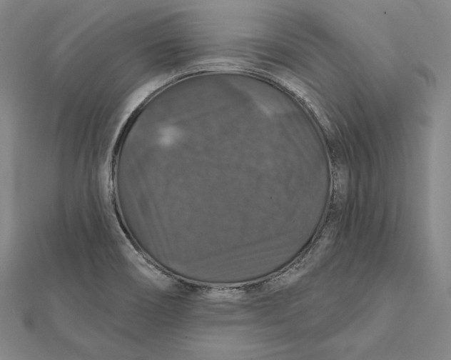 X0000112021466200908311145