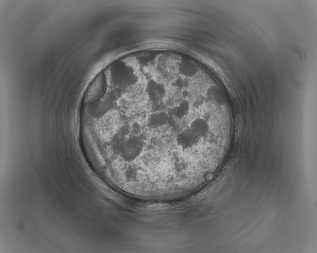 X0000112021467200908311144