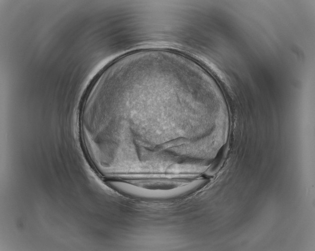 X0000112021468200908311144