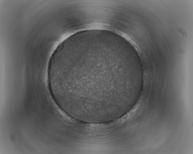 X0000112021469200908311144