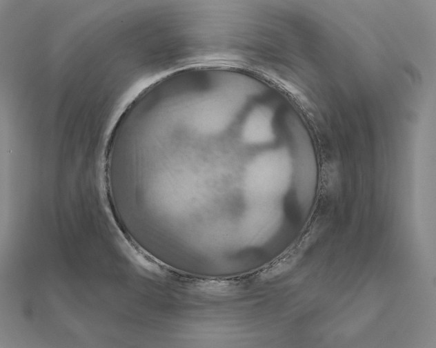 X0000112021470200908311144