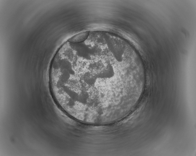 X0000112021471200908311144