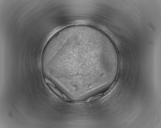 X0000112021473200908311144