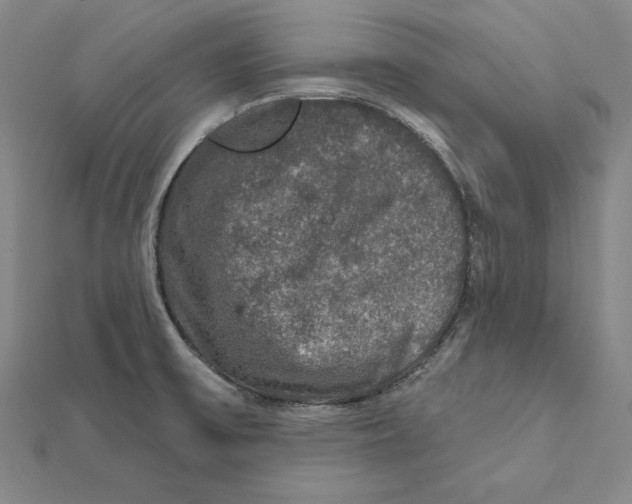 X0000112021475200908311144