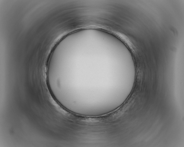 X0000112021476200908311144