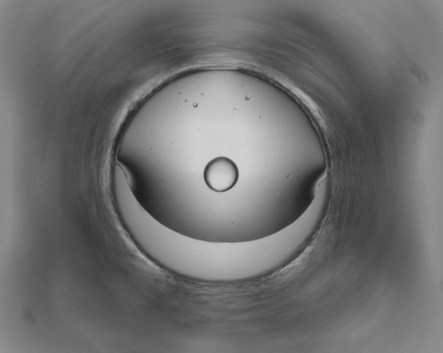 X0000112021477200908311144