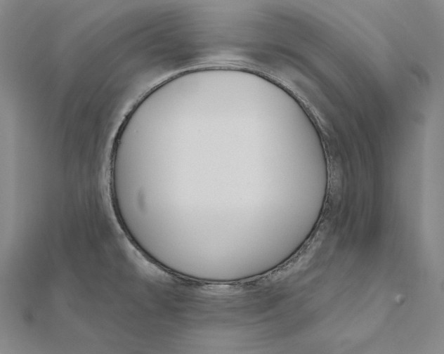 X0000112021478200908311144