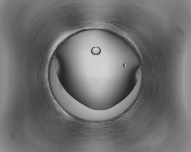 X0000112021480200908311144