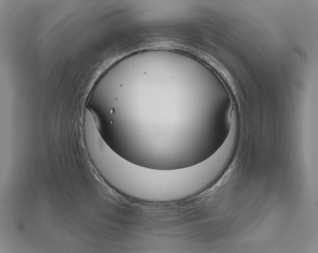 X0000112021481200908311144