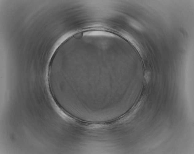 X0000112021482200908311144