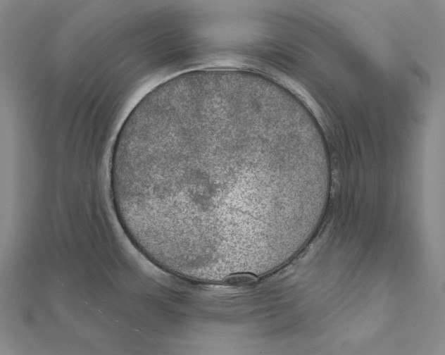 X0000112021483200908311144