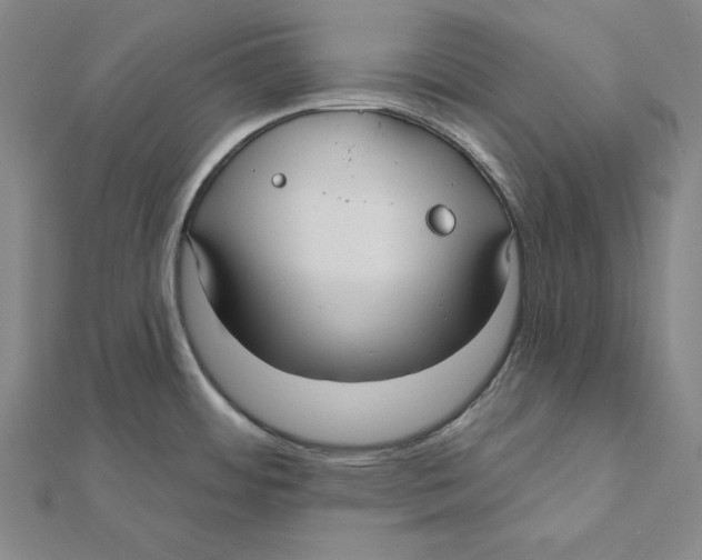 X0000112021484200908311144