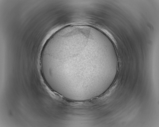 X0000112021485200908311144