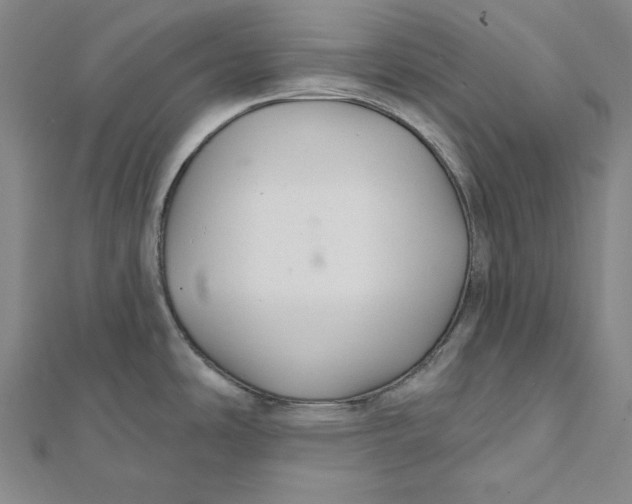 X0000112021486200908311144