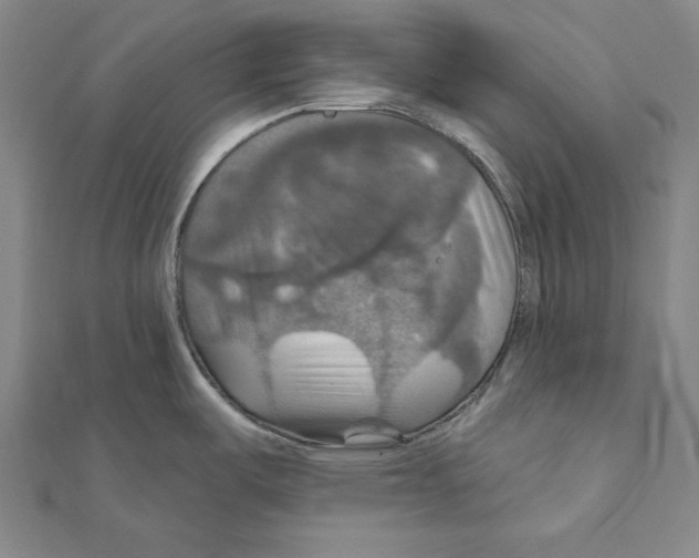 X0000112021487200908311144