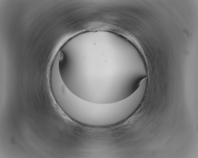 X0000112021488200908311144