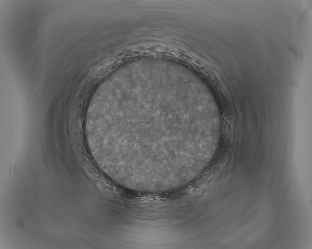 X0000112021489200908311144