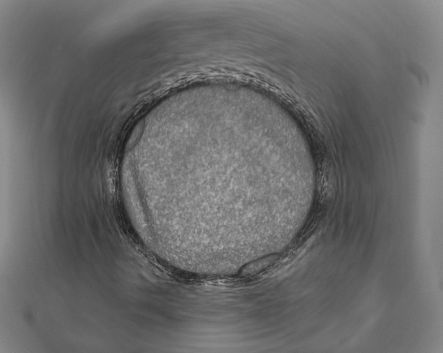 X0000112021490200908311144