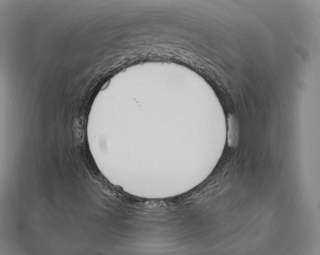 X0000112021491200908311144