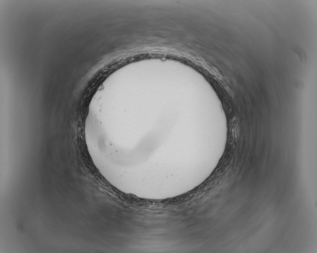 X0000112021495200908311144