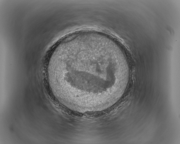 X0000112021496200908311144