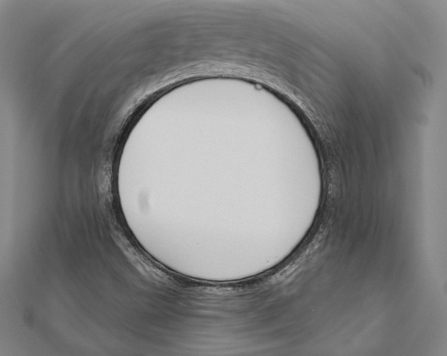 X0000112021499200908311144