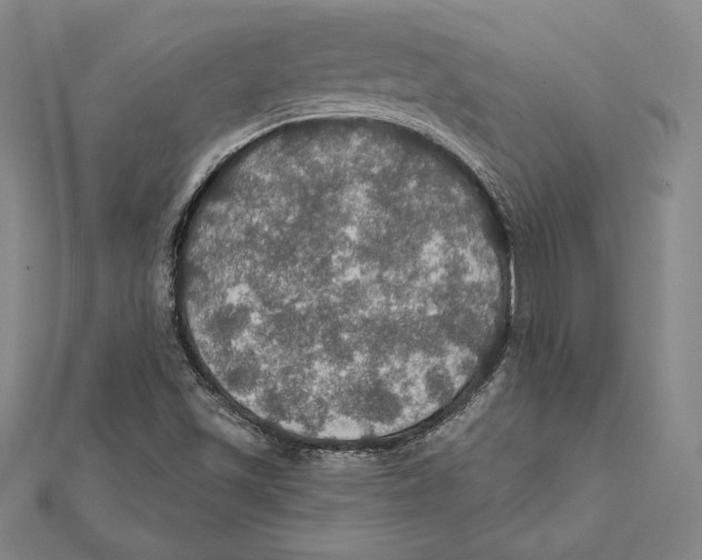 X0000112021501200908311144