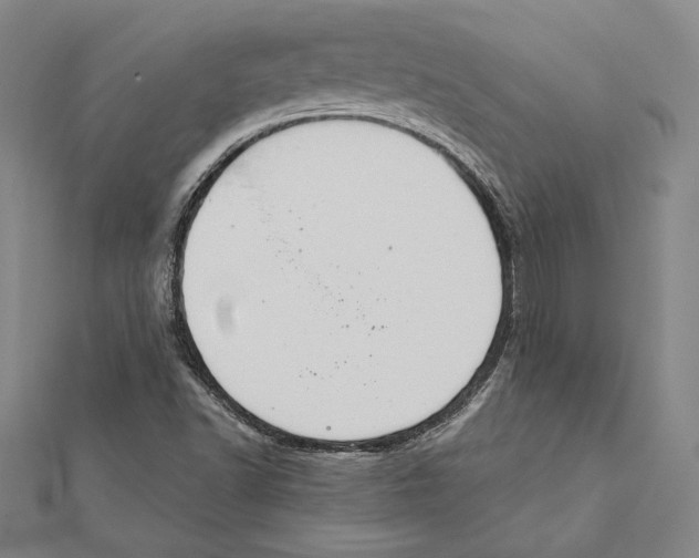 X0000112021502200908311144