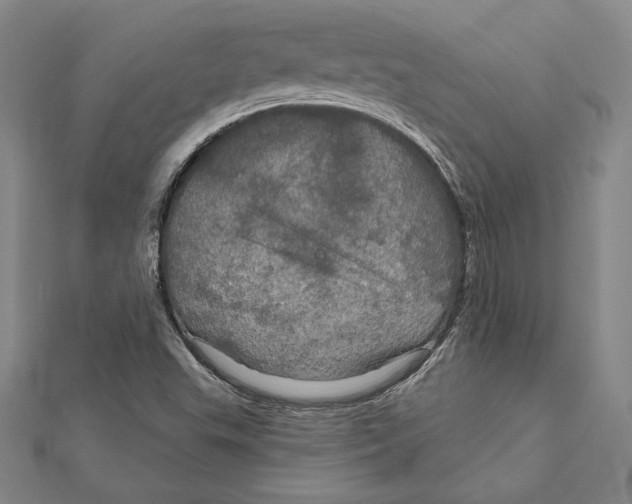 X0000112021503200908311144