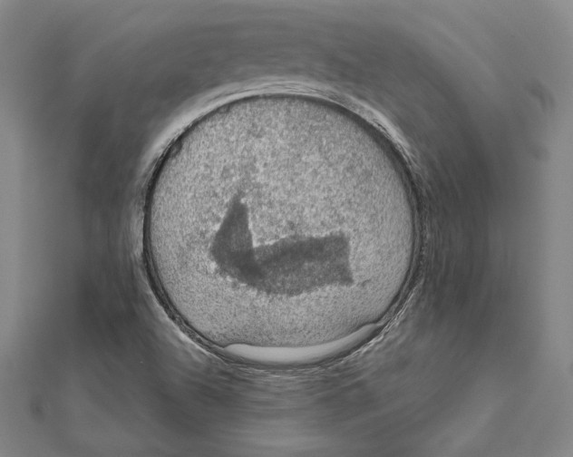 X0000112021504200908311144