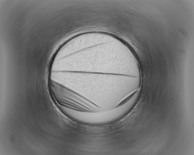 X0000112021508200908311144