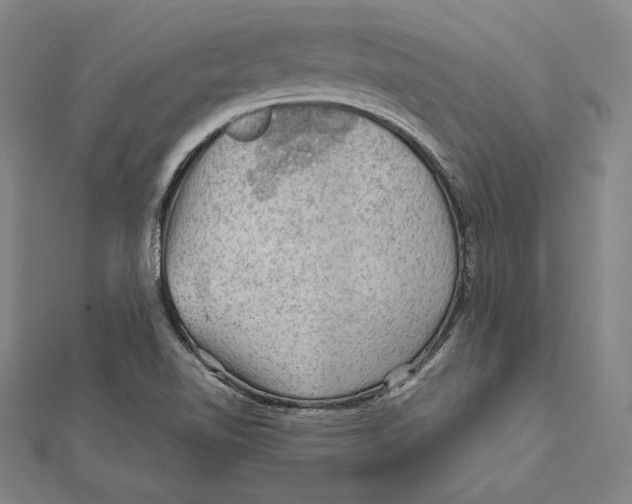 X0000112021510200908311144