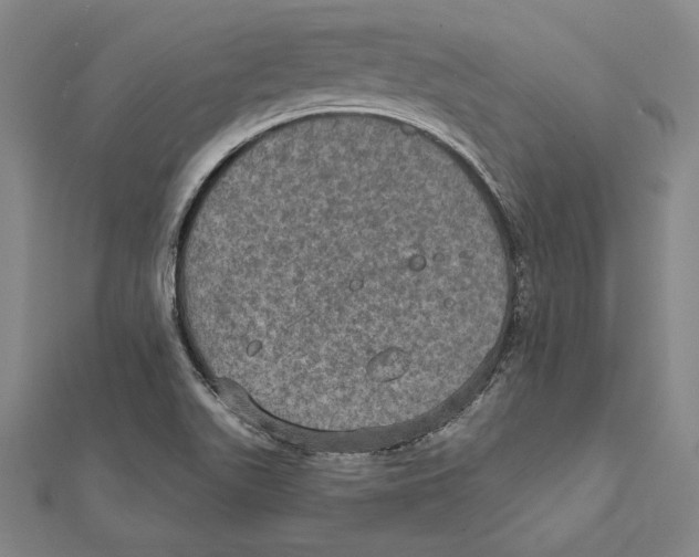 X0000112021511200908311144