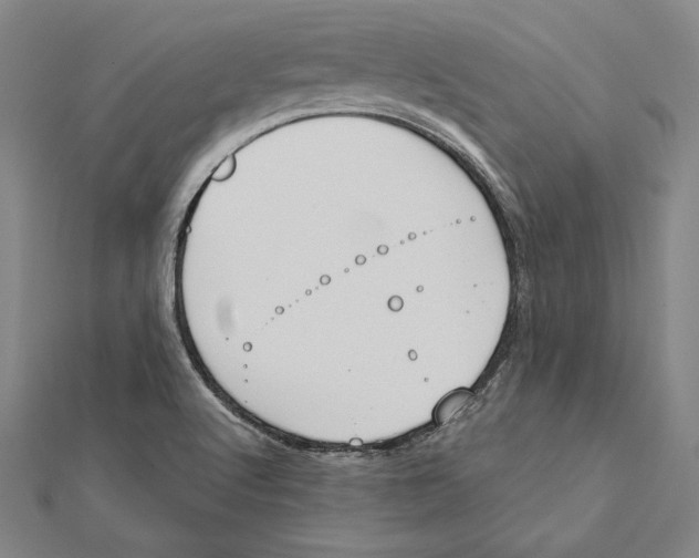 X0000112021512200908311144