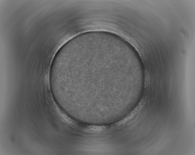 X0000112021513200908311144